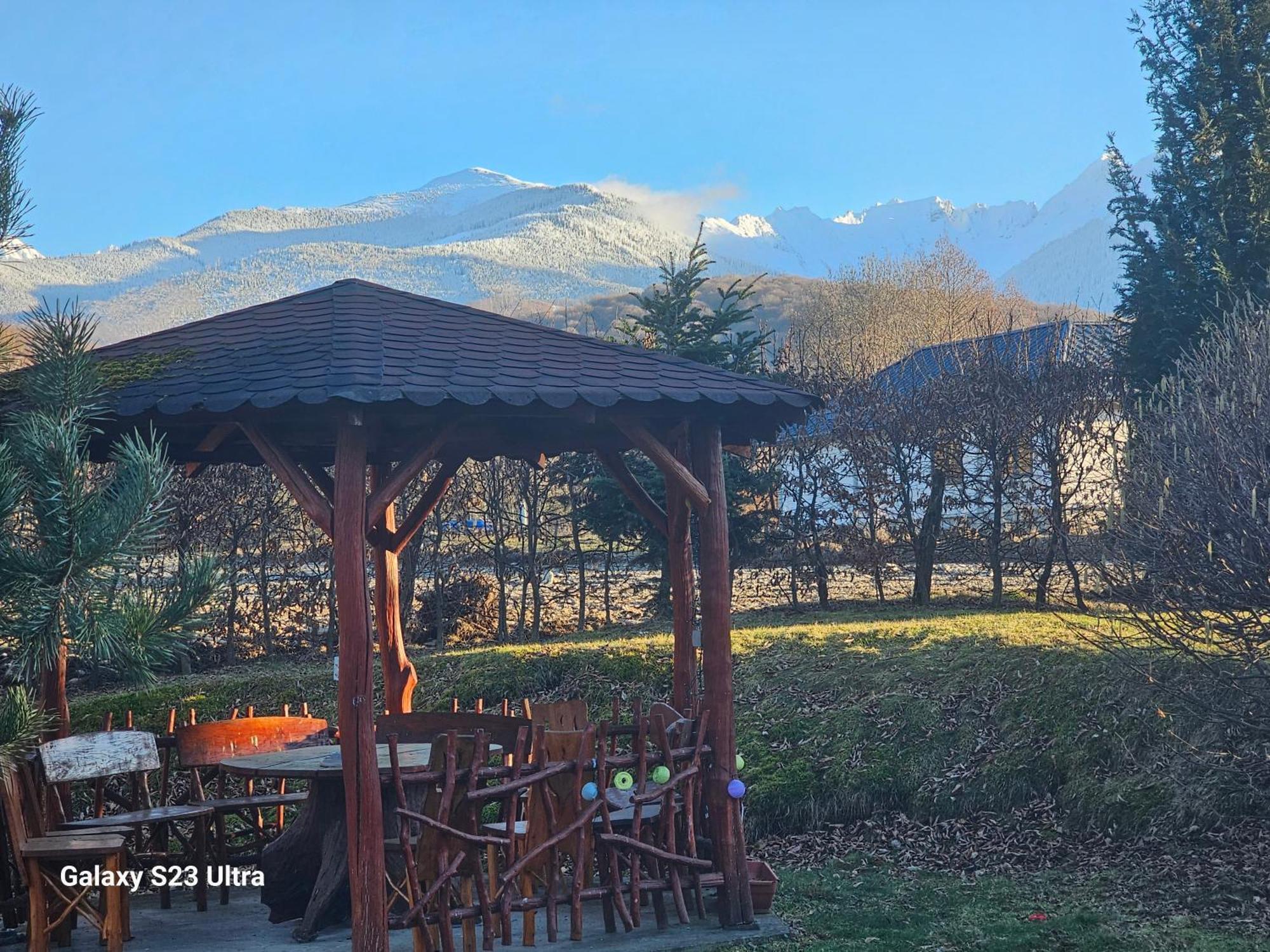 Casa De Vacanta Marin Arpaşu de Sus Buitenkant foto