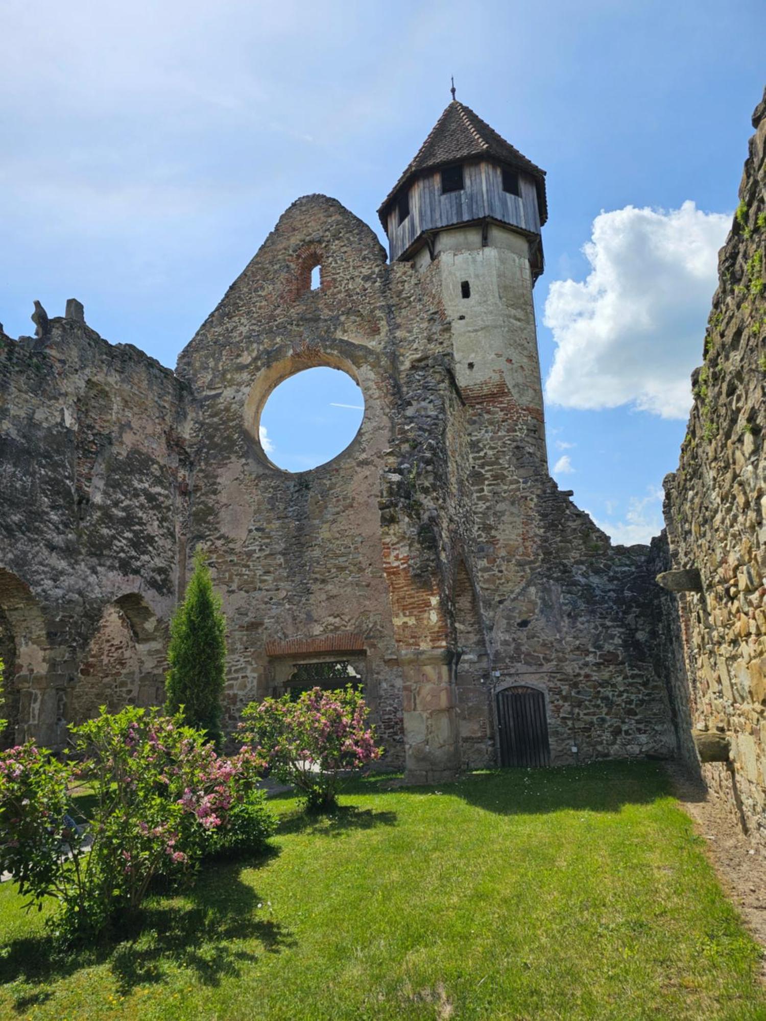 Casa De Vacanta Marin Arpaşu de Sus Buitenkant foto