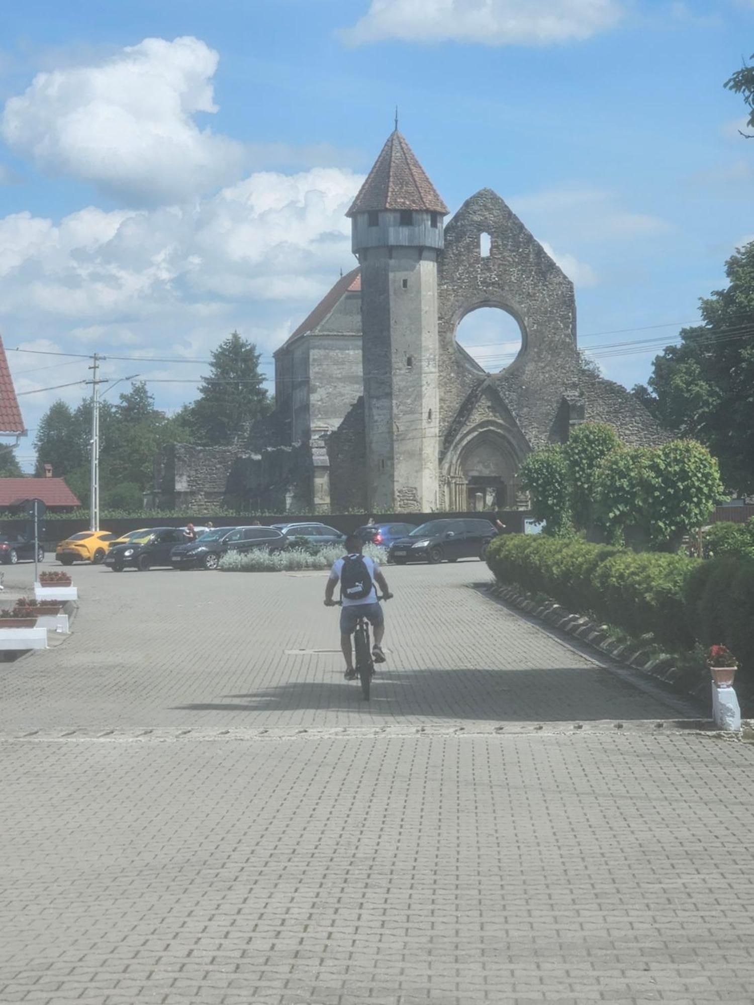 Casa De Vacanta Marin Arpaşu de Sus Buitenkant foto