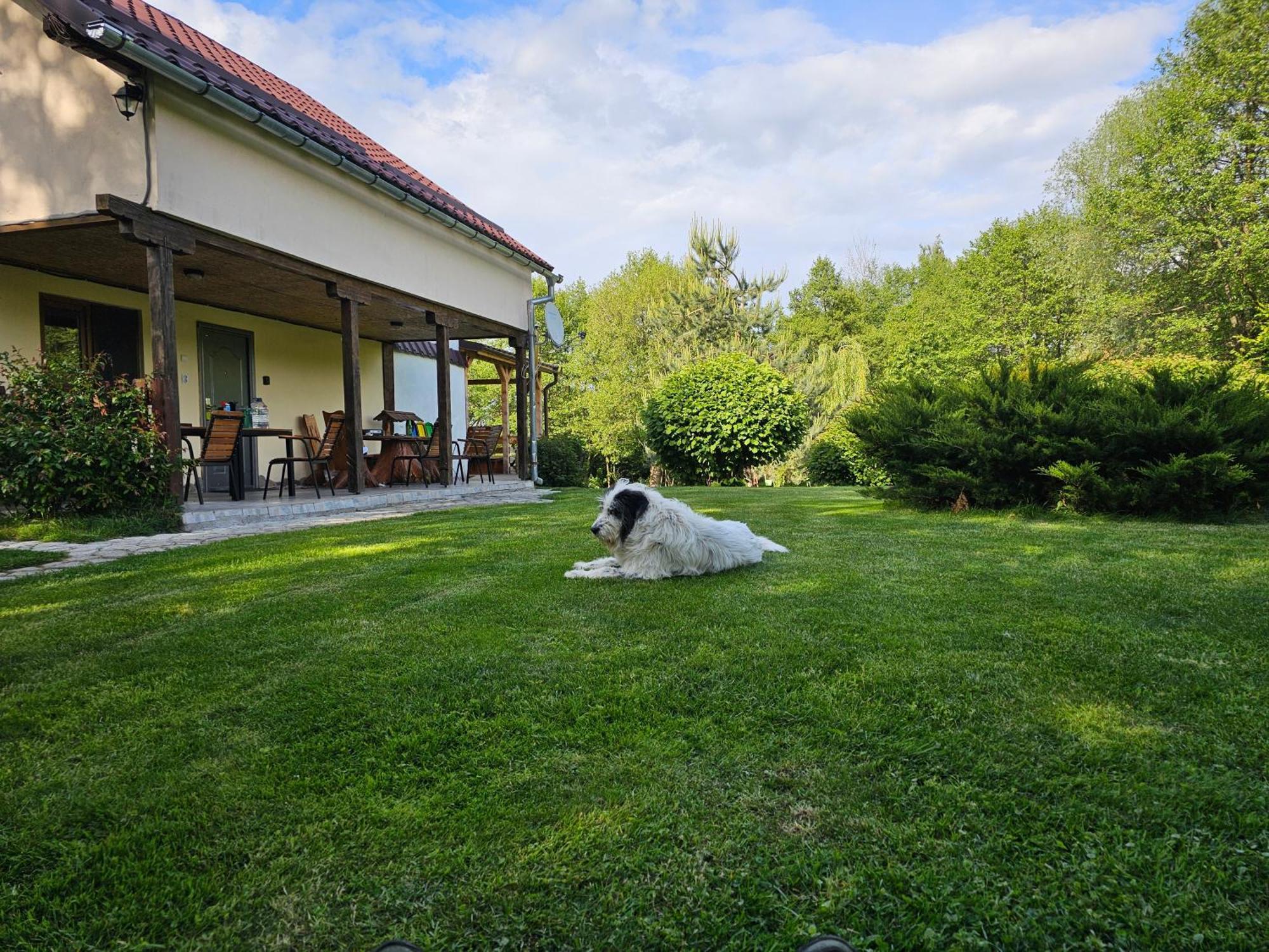 Casa De Vacanta Marin Arpaşu de Sus Buitenkant foto