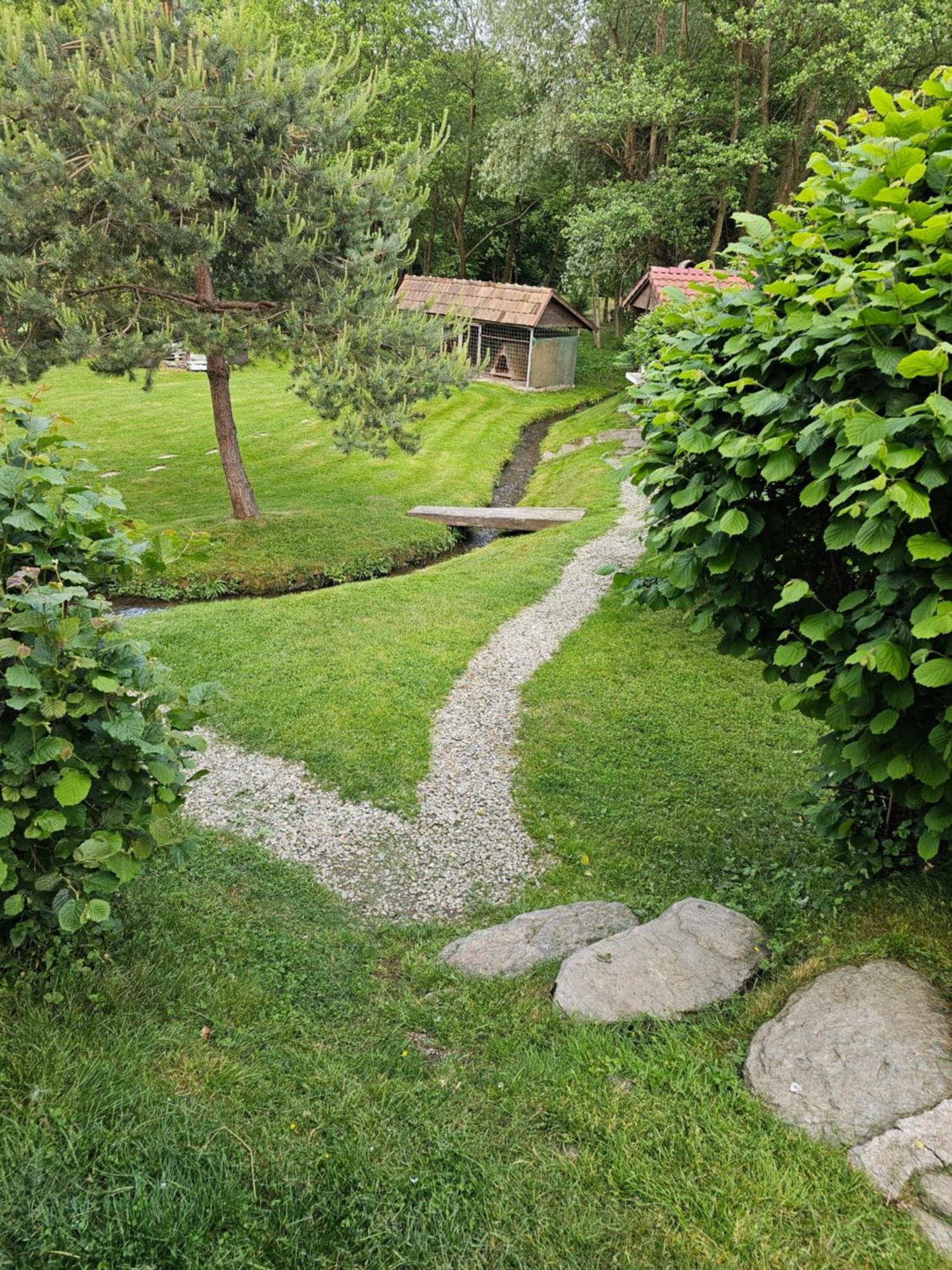 Casa De Vacanta Marin Arpaşu de Sus Buitenkant foto