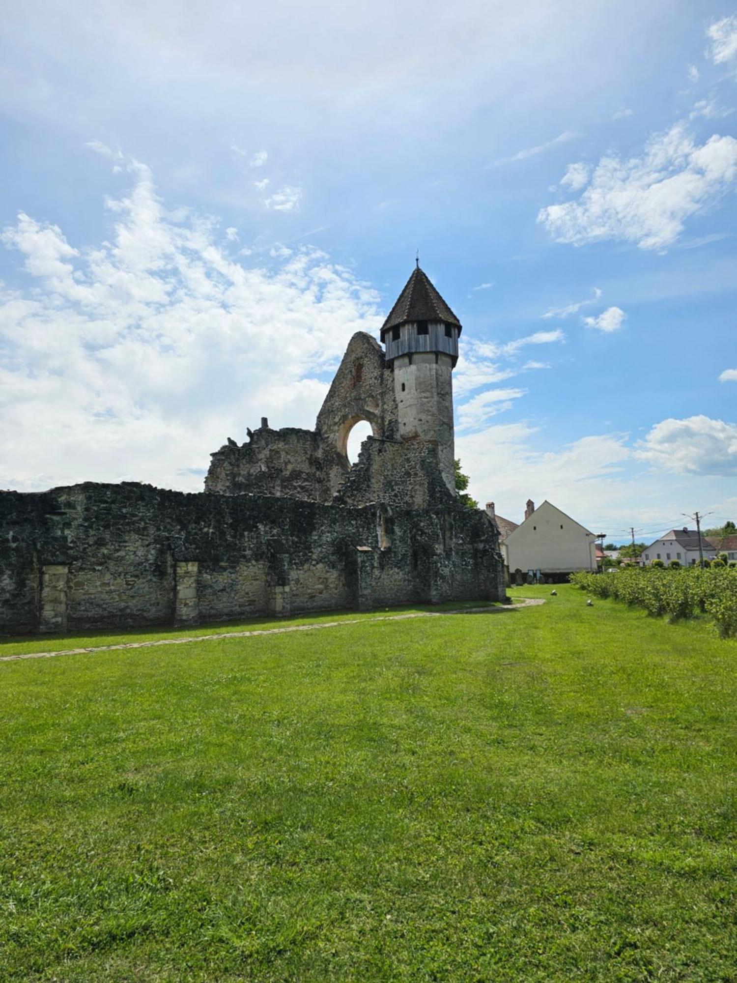 Casa De Vacanta Marin Arpaşu de Sus Buitenkant foto