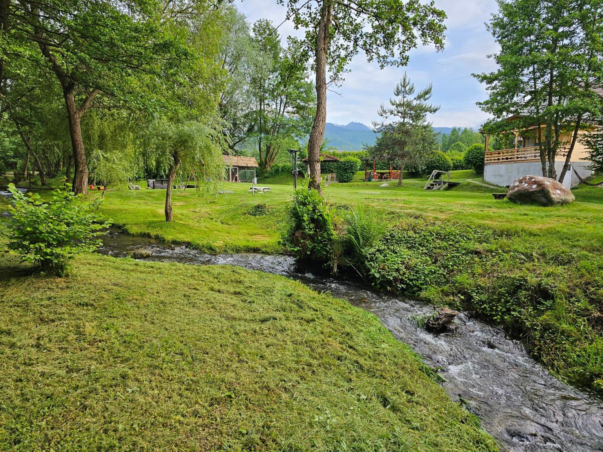 Casa De Vacanta Marin Arpaşu de Sus Buitenkant foto
