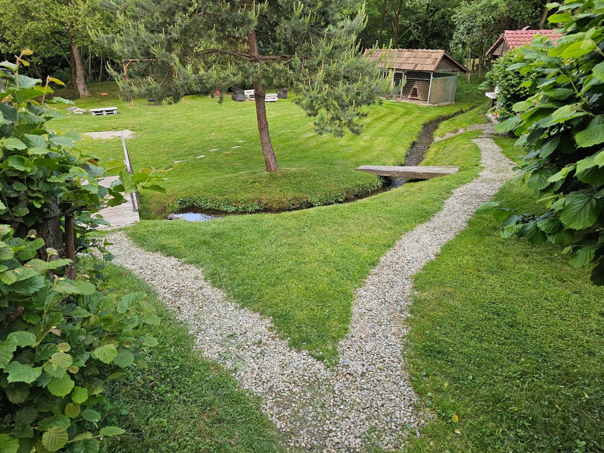 Casa De Vacanta Marin Arpaşu de Sus Buitenkant foto
