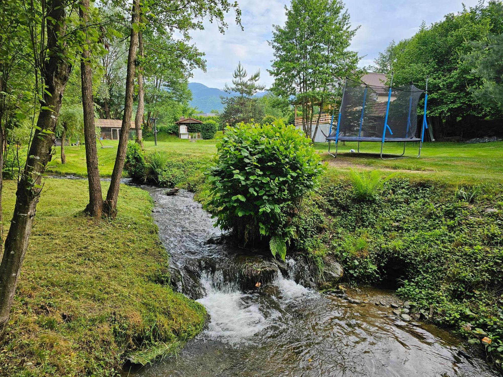 Casa De Vacanta Marin Arpaşu de Sus Buitenkant foto
