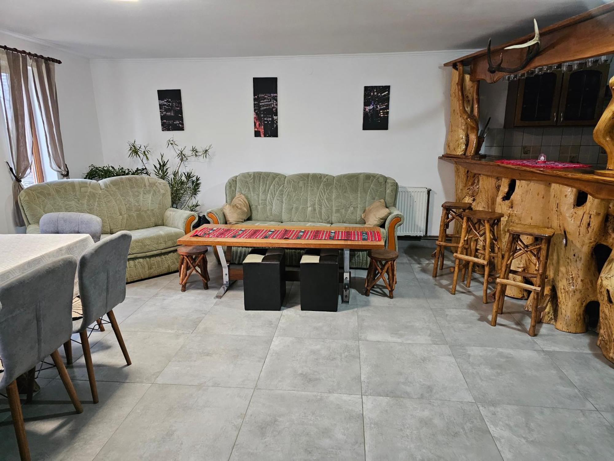 Casa De Vacanta Marin Arpaşu de Sus Buitenkant foto