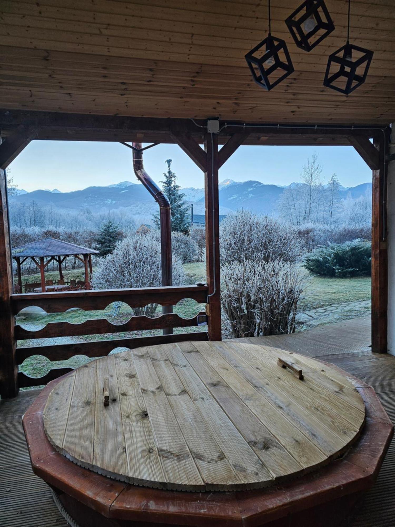 Casa De Vacanta Marin Arpaşu de Sus Buitenkant foto
