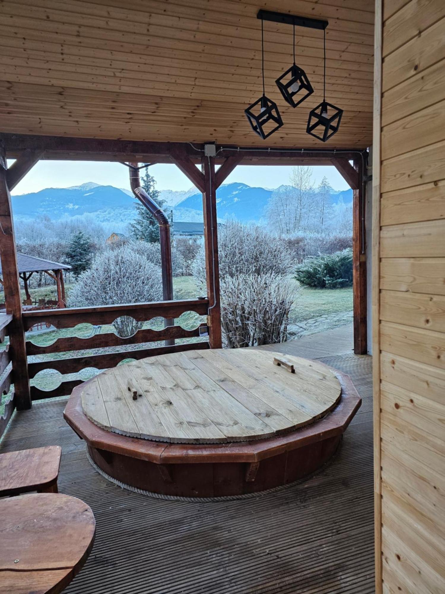 Casa De Vacanta Marin Arpaşu de Sus Buitenkant foto
