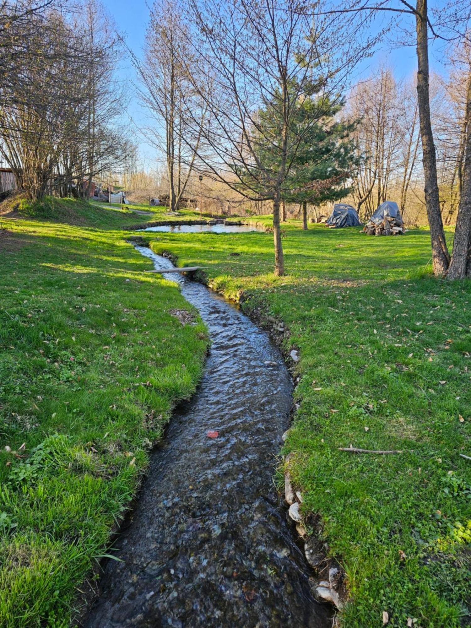 Casa De Vacanta Marin Arpaşu de Sus Buitenkant foto