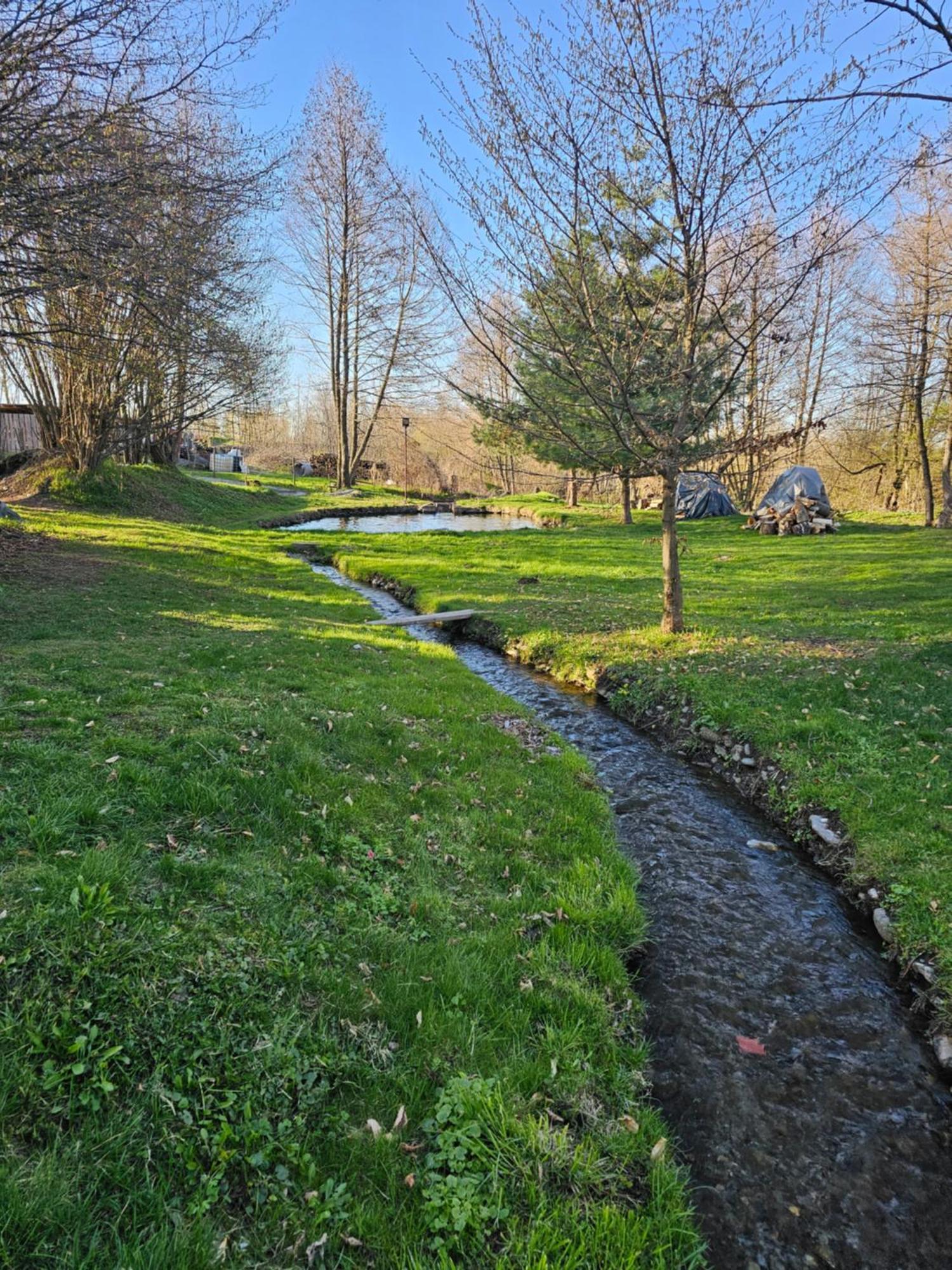 Casa De Vacanta Marin Arpaşu de Sus Buitenkant foto