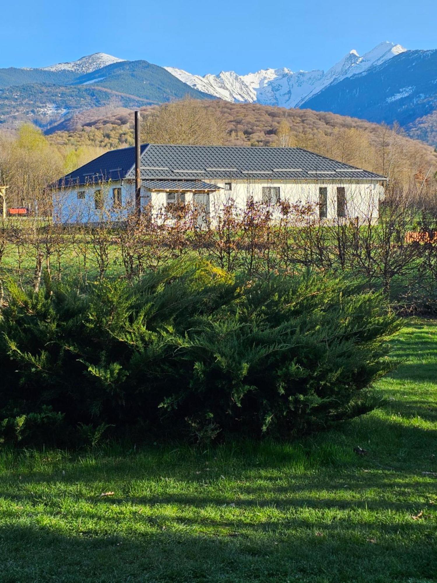 Casa De Vacanta Marin Arpaşu de Sus Buitenkant foto